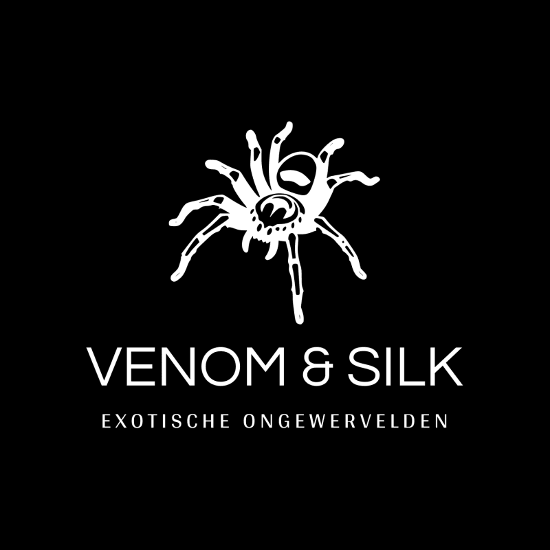 high resolution color logo